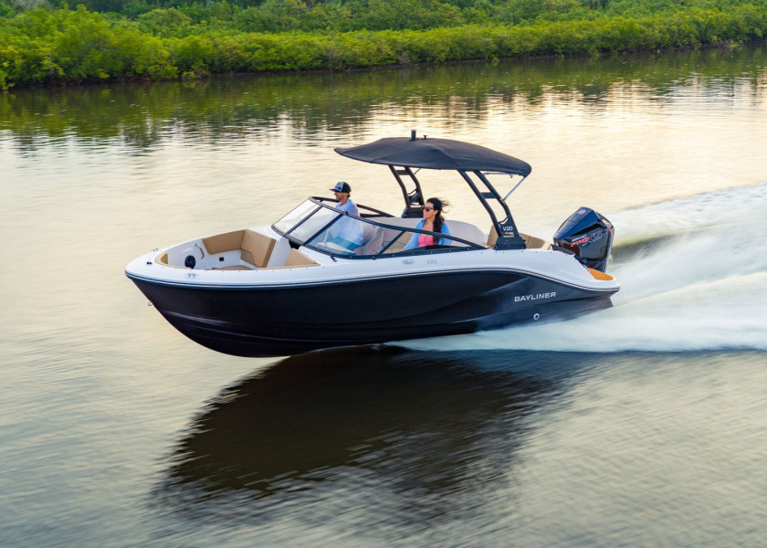 Bayliner V20