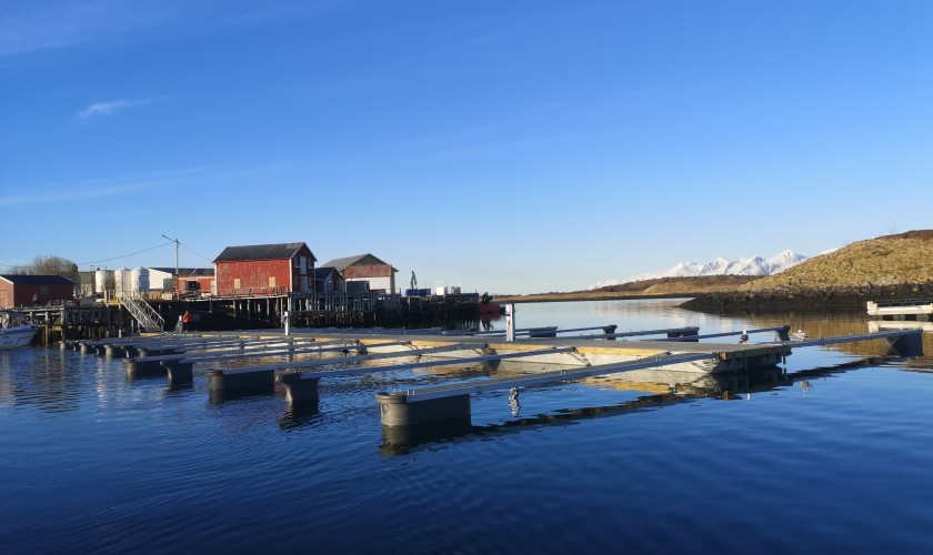 Husvær Småbåthavn