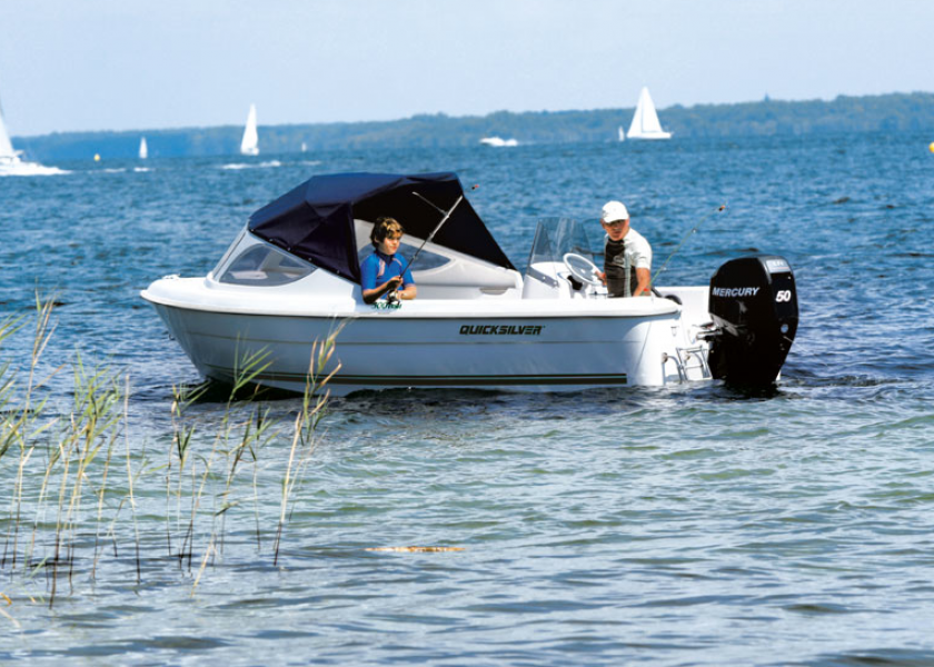 Quicksilver 500 Fish