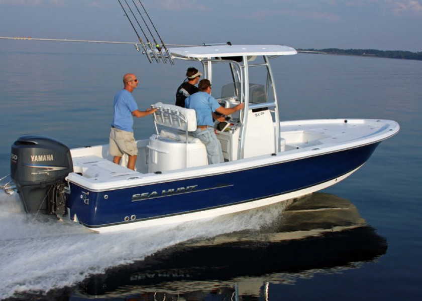 Sea Hunt BX 24 BR