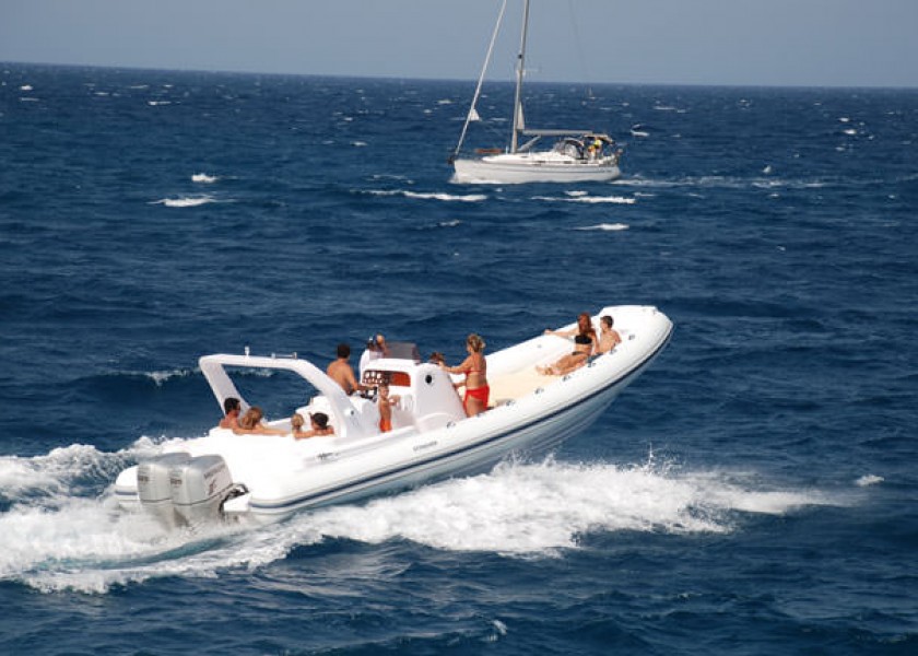 Stingher 32 Anniversary