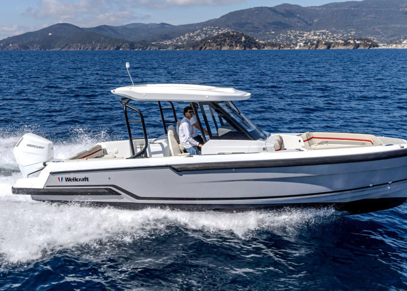 Wellcraft 28 T-Top